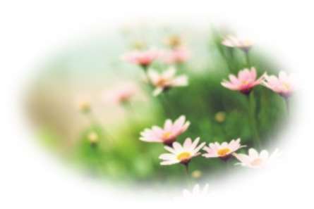 Artikkelbilde til artikkelen Historiske Glimt