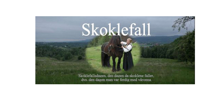 Skoklefall 2019