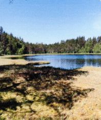 Flatner 24. 06. 2021