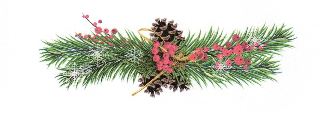 Medlemsmøte - Julemøte