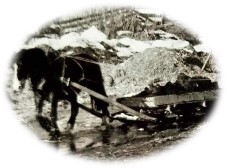 Temadag Nannestad Bygdemuseum