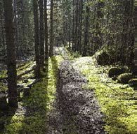 Gamlevegen over Asakskogen